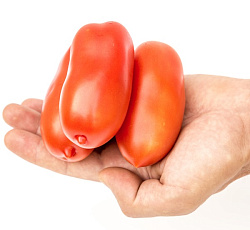 Томат Царское искушение F1