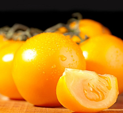 Томат Хуторской засолочный