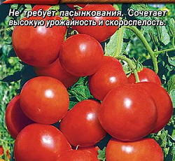 Томат Красная стрела