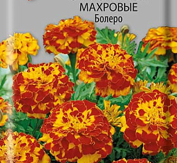 Бархатцы отклоненные махровые Болеро