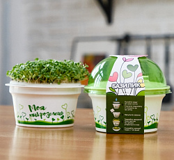Набор для выращивания "Моя микрозелень" - БАЗИЛИК