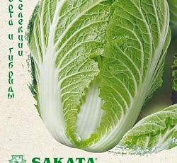 Капуста пекинская Юки F1