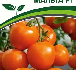 Томат Мальта F1