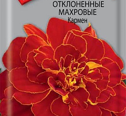 Бархатцы отклоненные махровые Кармен