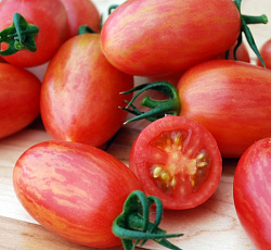 Томат Сахарная слива полосатая