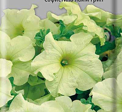 Петуния гибридная Софистика лайм грин