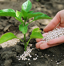 Агрохимикаты