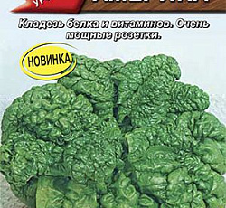 Шпинат Америка