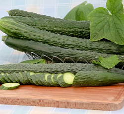 Огурец Китайский болезнеустойчивый F1