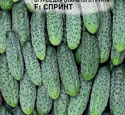 Огурец Спринт F1
