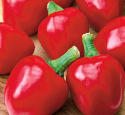 Перец сладкий Малютка