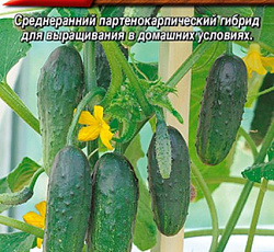 Огурец Домосед F1