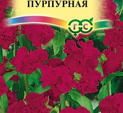 Кларкия изящная Пурпурная