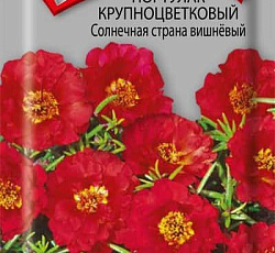 Портулак Крупноцветковый Солнечная страна вишневый