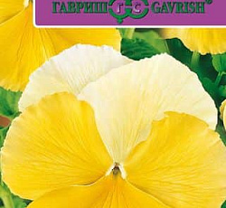 Виола Виттрока Маячок желтый F1