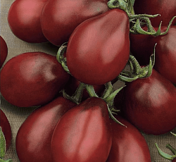 Томат Груша черная