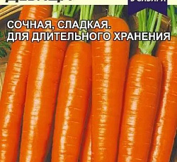 Морковь Красна девица