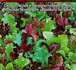 Бэби салат Карнавал вкуса (смесь)