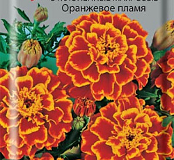 Бархатцы отклоненные махровые Оранжевое пламя