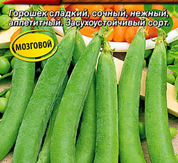 Горох Воронежский зеленый