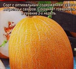 Дыня Золотая торпеда