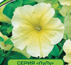 Петуния Лулу Лаймлайт F1 крупноцветковая каскадная