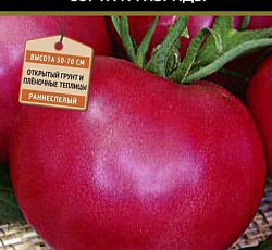 Томат Легионер F1