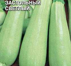 Кабачок Застольный (цуккини)