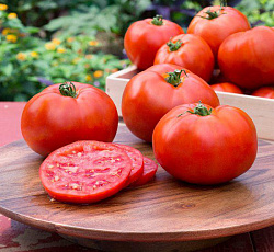 Томат Сахарок