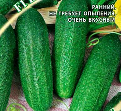 Огурец Бабайка F1