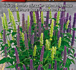 Иссоп анисовый Эликсир молодости