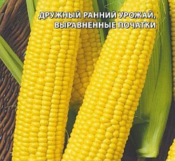 Кукуруза Утренняя песня F1 (сахарная)