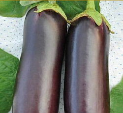 Баклажан Диамант F1