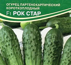 Огурец Рок Стар F1