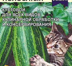 Кабачок Усатый Полосатый