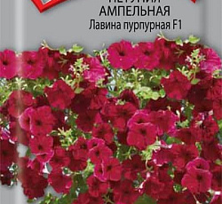 Петуния ампельная Лавина пурпурная F1