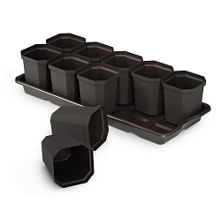 Набор для рассады (10 стаканов с поддоном) 410х170х90мм