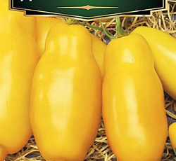 Томат Дрова желтые