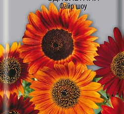 Подсолнечник Файр шоу