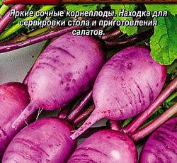 Дайкон Голубая свеча F1