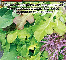 Бэби салат Разноцветные кружева (смесь)