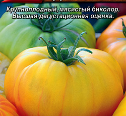 Томат Диво-дивное