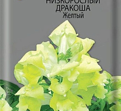 Львиный зев (Антирринум) низкорослый Дракоша Желтый