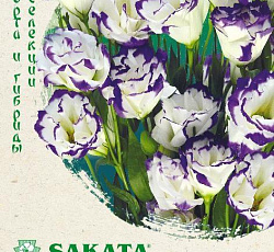 Эустома (лизиантус) Эхо Пикоти голубая F1