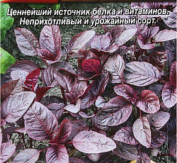 Амарант овощной Валентина