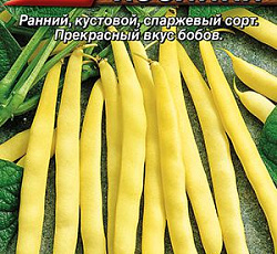 Фасоль овощная Мечта хозяйки
