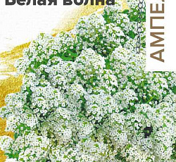 Алиссум ампельный Кристалл F1 Белая Волна