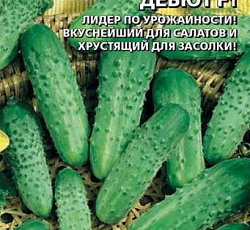 Огурец Дебют F1