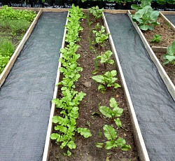 Защитная полоса для междурядий (0,4х10 м)