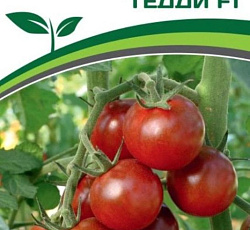 Томат Тедди F1 (черри)